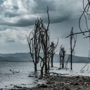 Lake Naivasha National Park