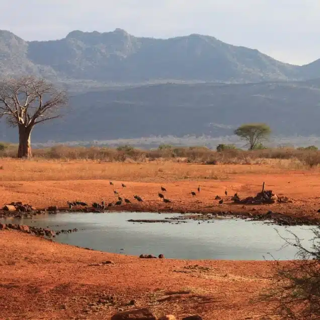 Tsavo West National Park